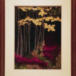 Yellow Aspens